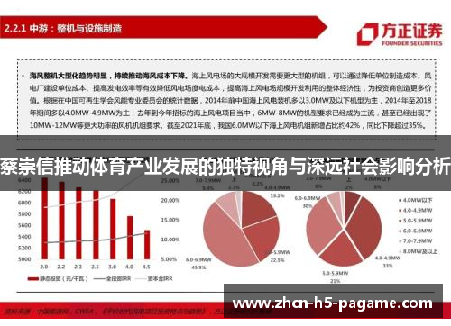 蔡崇信推动体育产业发展的独特视角与深远社会影响分析