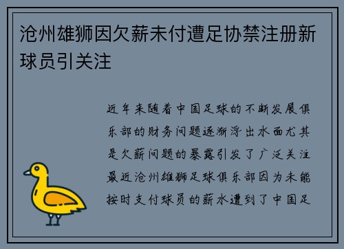 沧州雄狮因欠薪未付遭足协禁注册新球员引关注
